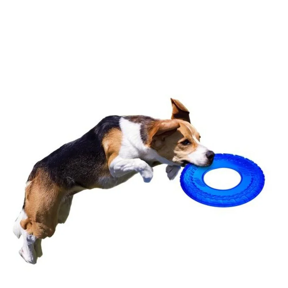 Dog Large 10